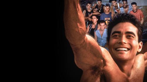 Tik stipriausi filmas žiurėti online