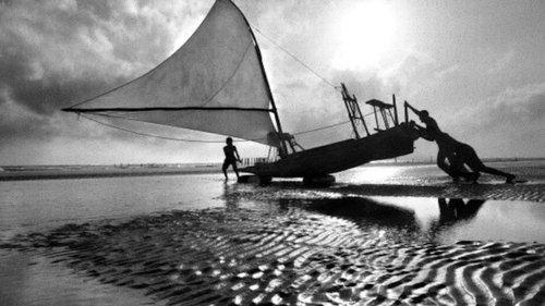 It's All True filmas žiurėti online