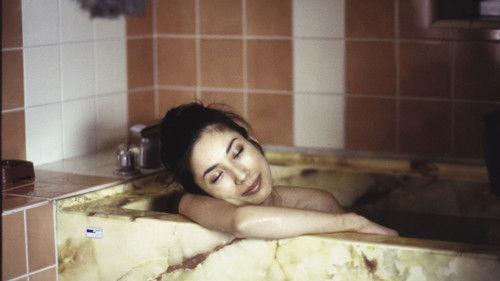 I Am an S+M Writer filmas žiurėti online