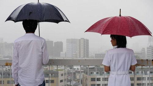 The Woman of Brother filmas žiurėti online