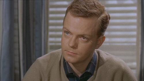 Landsbylægen filmas žiurėti online