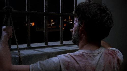 Kiss of the Spider Woman filmas žiurėti online