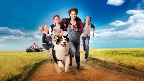 Fünf Freunde 2 filmas žiurėti online