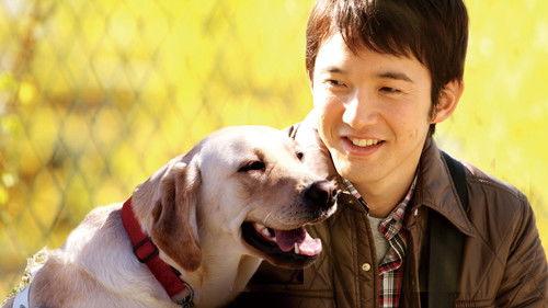 Partners filmas žiurėti online