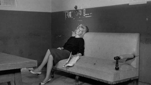 Nuotykis filmas žiurėti online