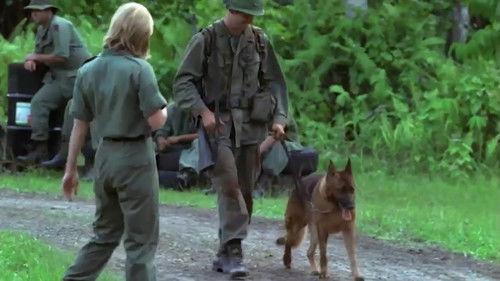 Rain filmas žiurėti online