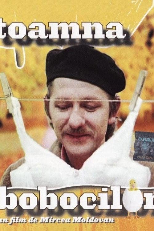 Toamna bobocilor filmas online