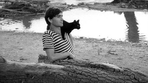 Miraculous Virgin filmas žiurėti online