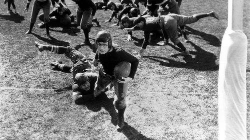 The Freshman filmas žiurėti online