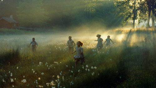 Bulerbio kaimo vaikai filmas žiurėti online