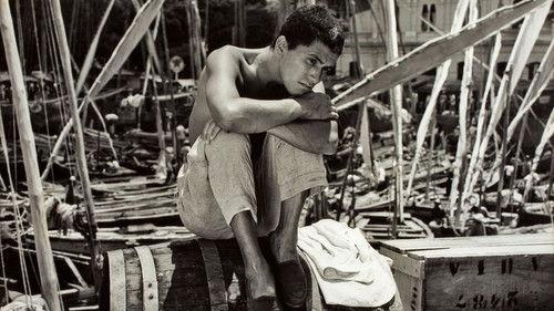 Bahia of All Saints filmas žiurėti online