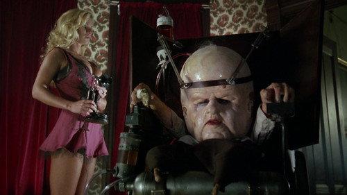 Head of the Family filmas žiurėti online