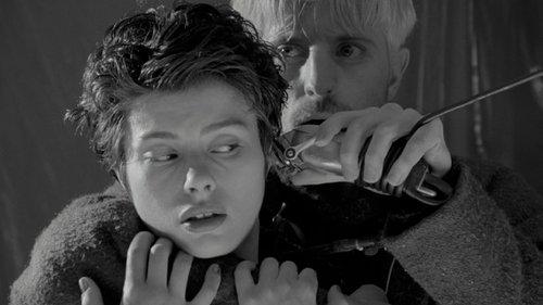 Cosmos filmas žiurėti online