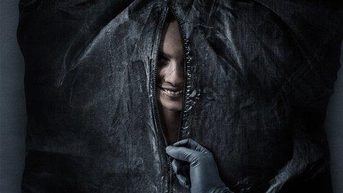 Šypsena filmas žiurėti online