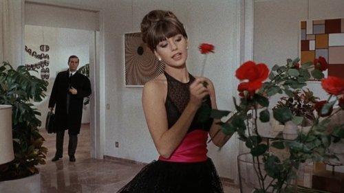 Adultery Italian Style filmas žiurėti online