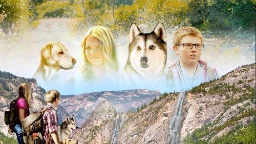 Timber the Treasure Dog filmas žiurėti online