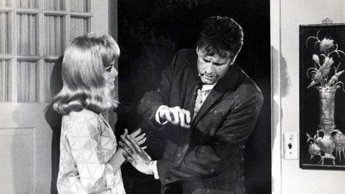 The Money Jungle filmas žiurėti online