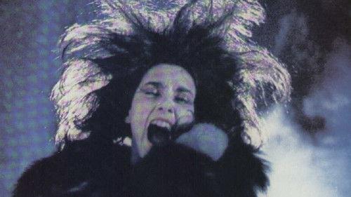 Dream of a Summer Night filmas žiurėti online