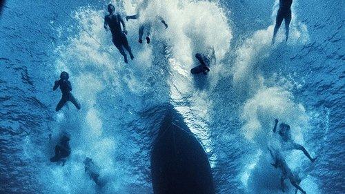 Terraferma filmas žiurėti online