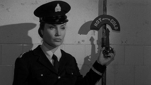 Devil's Girls filmas žiurėti online