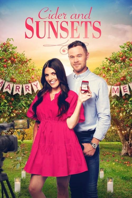 Amžinos meilės paieškos filmas online