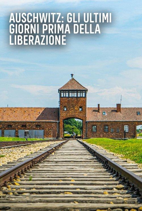 Auschwitz: Countdown to Liberation filmas online