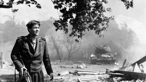 The Adventures of Werner Holt filmas žiurėti online