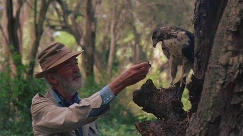 A Tale of Africa filmas žiurėti online