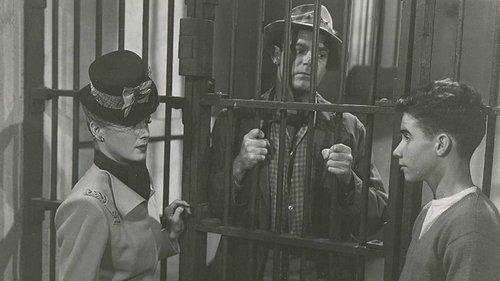 Her Adventurous Night filmas žiurėti online