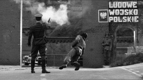 Poznań 56 filmas žiurėti online