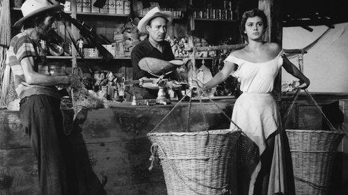 The Net filmas žiurėti online