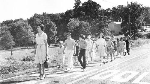 Ladybug Ladybug filmas žiurėti online