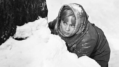 The Russian Forest filmas žiurėti online