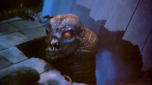 The Kindred filmas žiurėti online