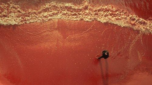 Decoded filmas žiurėti online