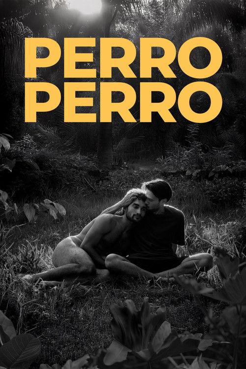 Perro perro filmas online
