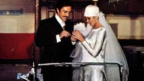 All Sons of the Saintest Mother filmas žiurėti online