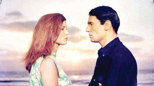 My Father Is on the Tree filmas žiurėti online