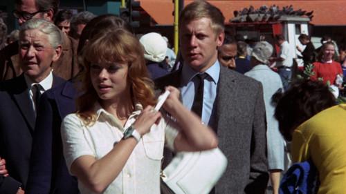 Die jüngsten Kätzchen sind die schärfsten filmas žiurėti online