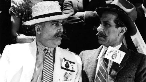 The Lion from Estrela filmas žiurėti online