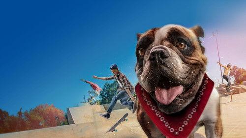 Sk8 Dawg filmas žiurėti online
