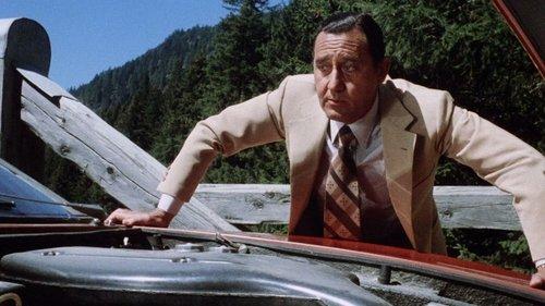 The Most Wonderful Evening of My Life filmas žiurėti online