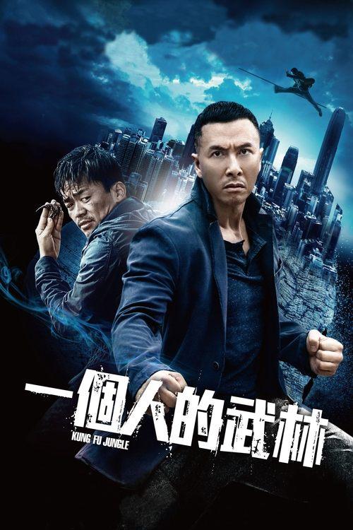 Kung Fu Jungle filmas online