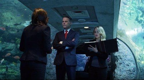 Aquarium of the Dead filmas žiurėti online