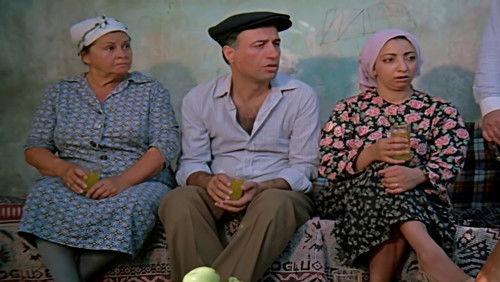 Talih Kuşu filmas žiurėti online