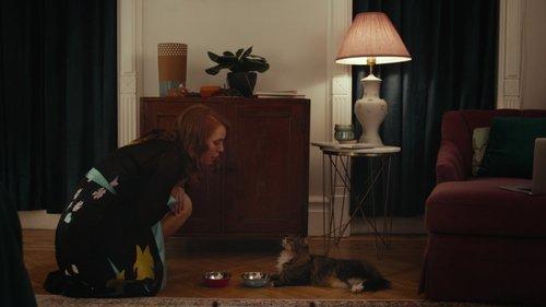 Modern Persuasion filmas žiurėti online