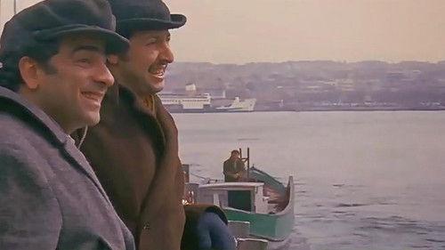 Where Are These Guys Looking At? filmas žiurėti online