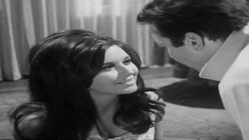 Sunset and Sunrise filmas žiurėti online