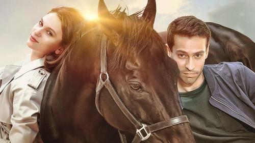 Bizim İçin Şampiyon filmas žiurėti online