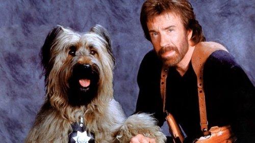 Top Dog filmas žiurėti online